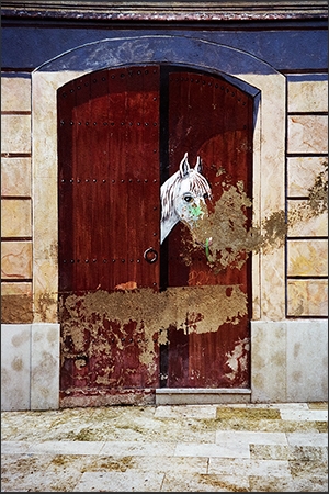 https://www.enricmontes.com/files/gimgs/th-43_17_Falsa_Natura_web.jpg