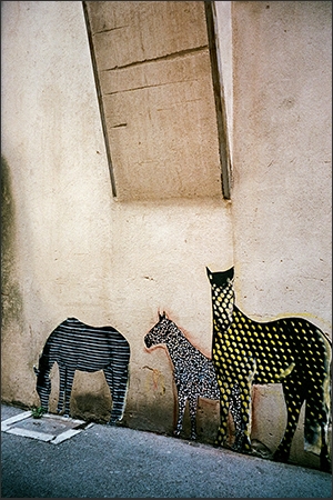 https://www.enricmontes.com/files/gimgs/th-43_18_Falsa_Natura_web.jpg