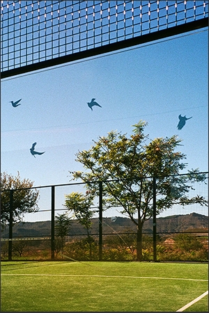 https://www.enricmontes.com/files/gimgs/th-43_22_Falsa_Natura_web.jpg